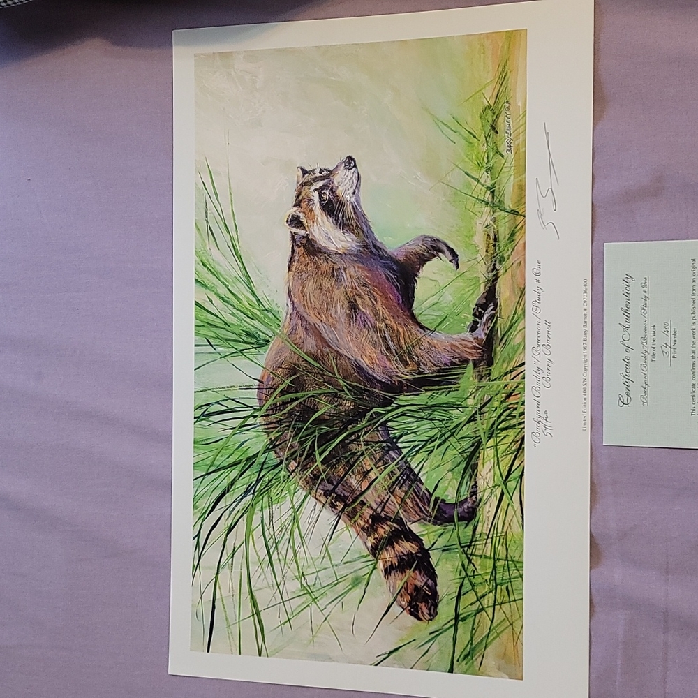 Backyard Buddy Raccoon Limited Edition Print